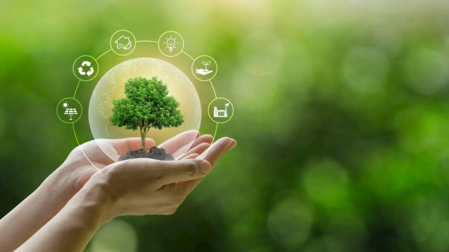 Bảo hiểm ngành đặc thù