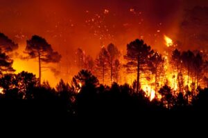 0356_638883583506970916 0356_638883583506970916